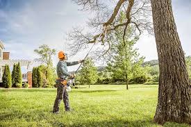 Lawn Irrigation Installation and Maintenance in San Ramon, CA