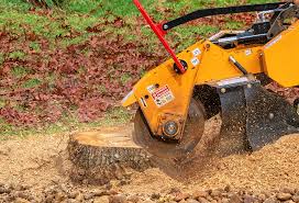  San Ramon, CA Tree Care Pros